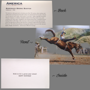 Bareback Bronc Buster
